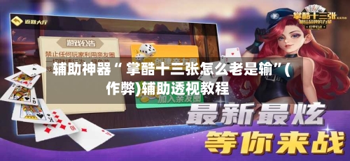 辅助神器“ 掌酷十三张怎么老是输”(作弊)辅助透视教程-第3张图片