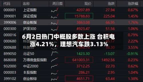 6月2日热门中概股多数上涨 台积电涨4.21%	，理想汽车跌3.13%-第3张图片