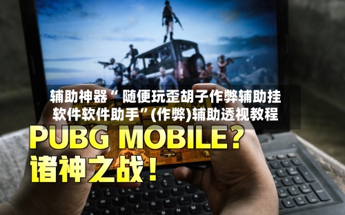 辅助神器“ 随便玩歪胡子作弊辅助挂软件软件助手”(作弊)辅助透视教程