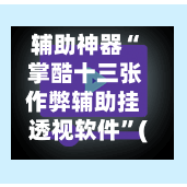 辅助神器“ 掌酷十三张作弊辅助挂透视软件”(作弊)辅助透视教程