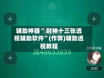 辅助神器“ 财神十三张透视辅助软件”(作弊)辅助透视教程-第2张图片
