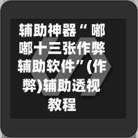辅助神器“ 嘟嘟十三张作弊辅助软件”(作弊)辅助透视教程-第2张图片