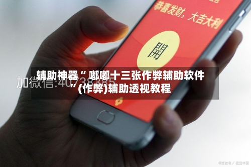 辅助神器“ 嘟嘟十三张作弊辅助软件”(作弊)辅助透视教程-第3张图片
