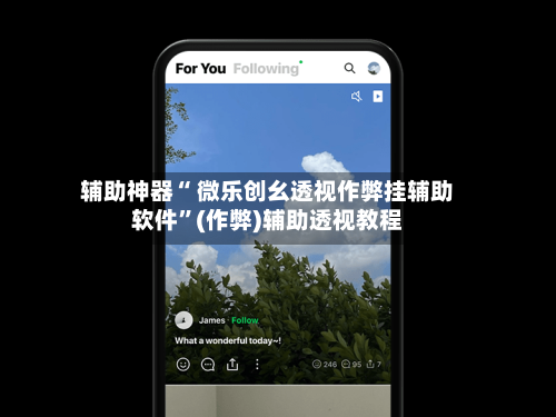 辅助神器“ 微乐创幺透视作弊挂辅助软件”(作弊)辅助透视教程-第2张图片