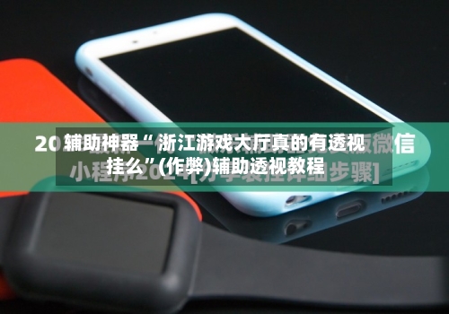 辅助神器“ 浙江游戏大厅真的有透视挂么”(作弊)辅助透视教程-第2张图片