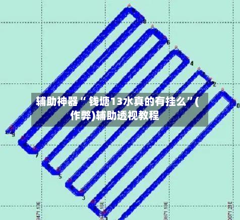 辅助神器“ 钱塘13水真的有挂么”(作弊)辅助透视教程-第3张图片