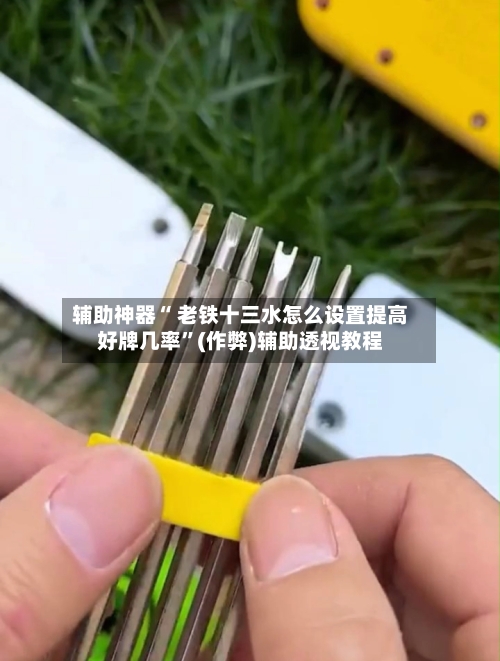 辅助神器“ 老铁十三水怎么设置提高好牌几率”(作弊)辅助透视教程-第2张图片