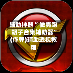 辅助神器“ 微壳跑胡子合集辅助器”(作弊)辅助透视教程-第2张图片