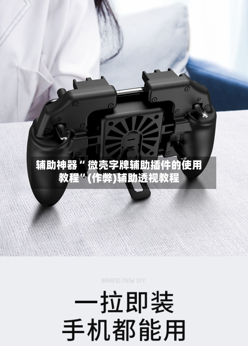 辅助神器“ 微壳字牌辅助插件的使用教程”(作弊)辅助透视教程-第2张图片