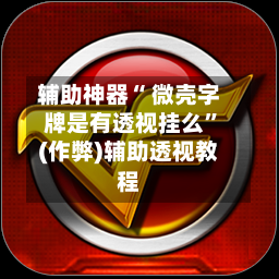 辅助神器“ 微壳字牌是有透视挂么”(作弊)辅助透视教程-第2张图片