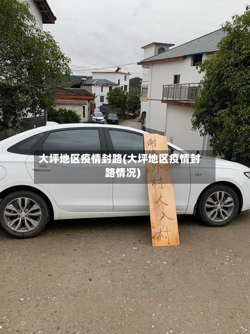 大坪地区疫情封路(大坪地区疫情封路情况)-第1张图片