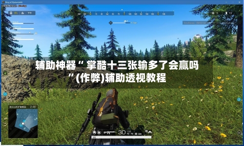 辅助神器“ 掌酷十三张输多了会赢吗”(作弊)辅助透视教程-第3张图片