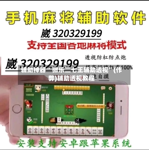 辅助神器“ 微乐二七王辅助透视”(作弊)辅助透视教程-第2张图片