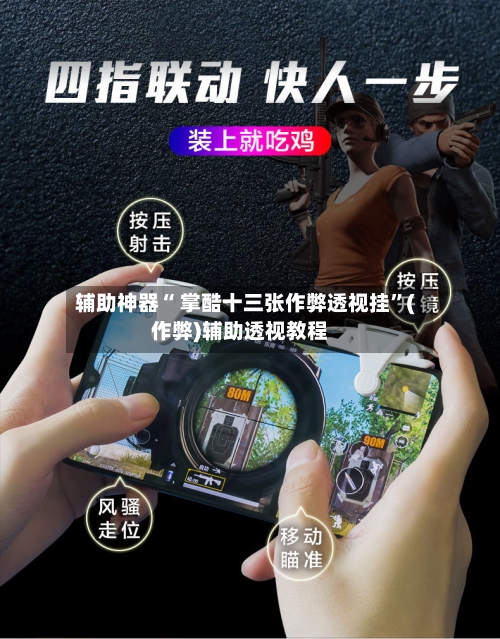 辅助神器“ 掌酷十三张作弊透视挂”(作弊)辅助透视教程-第3张图片