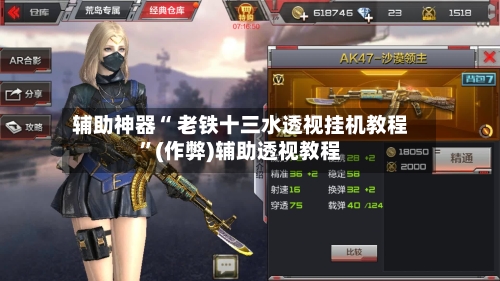 辅助神器“ 老铁十三水透视挂机教程	”(作弊)辅助透视教程-第2张图片