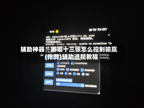 辅助神器“ 嘟嘟十三张怎么控制输赢”(作弊)辅助透视教程-第2张图片