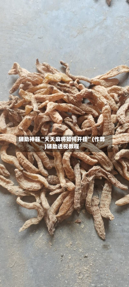 辅助神器“天天麻将如何开挂”(作弊)辅助透视教程