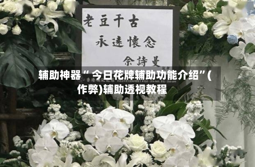辅助神器“ 今日花牌辅助功能介绍	”(作弊)辅助透视教程-第3张图片
