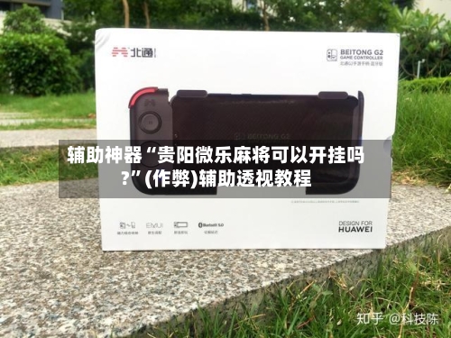 辅助神器“贵阳微乐麻将可以开挂吗?”(作弊)辅助透视教程-第2张图片