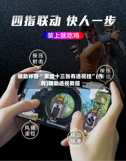 辅助神器“ 掌酷十三张有透视挂”(作弊)辅助透视教程-第2张图片