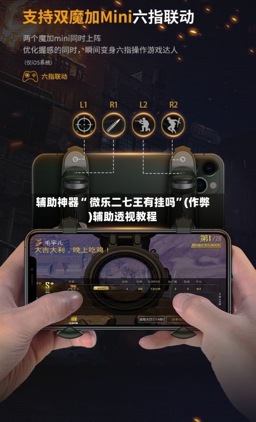 辅助神器“ 微乐二七王有挂吗”(作弊)辅助透视教程-第3张图片