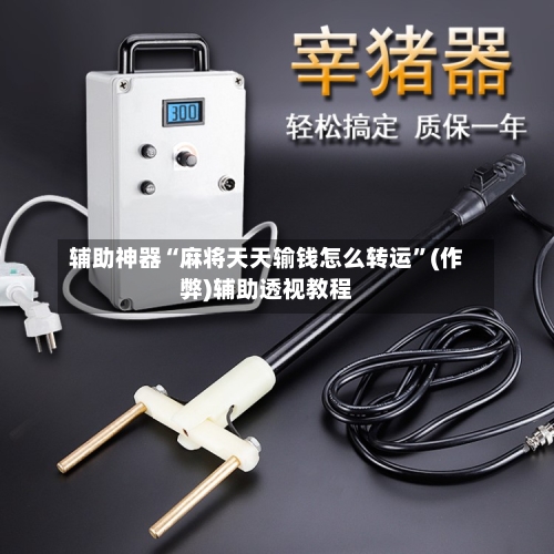 辅助神器“麻将天天输钱怎么转运”(作弊)辅助透视教程-第2张图片