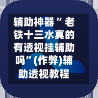 辅助神器“ 老铁十三水真的有透视挂辅助吗”(作弊)辅助透视教程-第3张图片