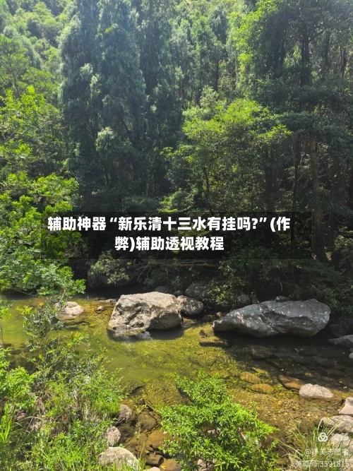 辅助神器“新乐清十三水有挂吗?”(作弊)辅助透视教程