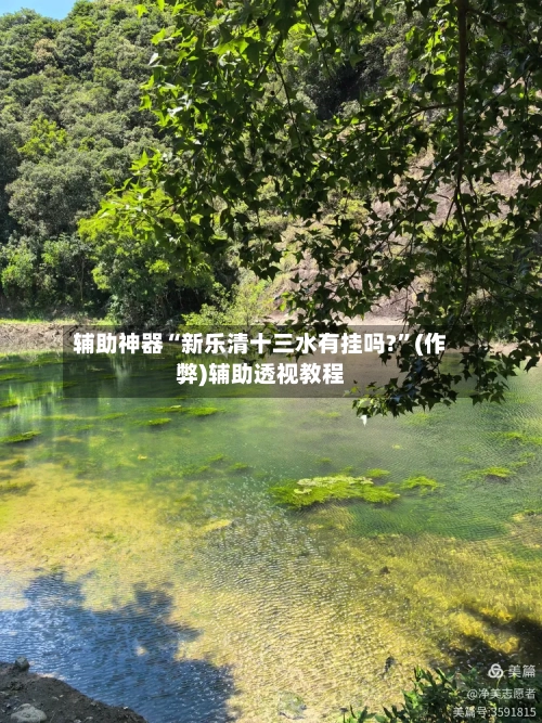 辅助神器“新乐清十三水有挂吗?”(作弊)辅助透视教程-第3张图片