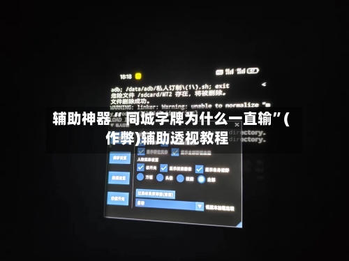 辅助神器“ 同城字牌为什么一直输”(作弊)辅助透视教程-第3张图片