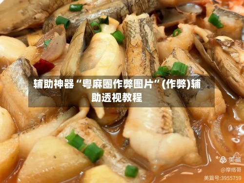 辅助神器“粤麻圈作弊图片”(作弊)辅助透视教程-第2张图片