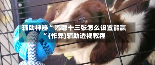 辅助神器“ 嘟嘟十三张怎么设置能赢”(作弊)辅助透视教程-第2张图片