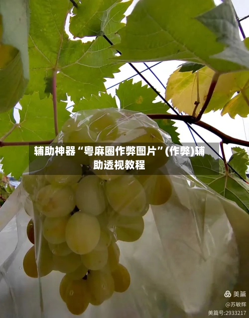 辅助神器“粤麻圈作弊图片”(作弊)辅助透视教程