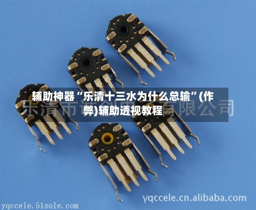 辅助神器“乐清十三水为什么总输”(作弊)辅助透视教程