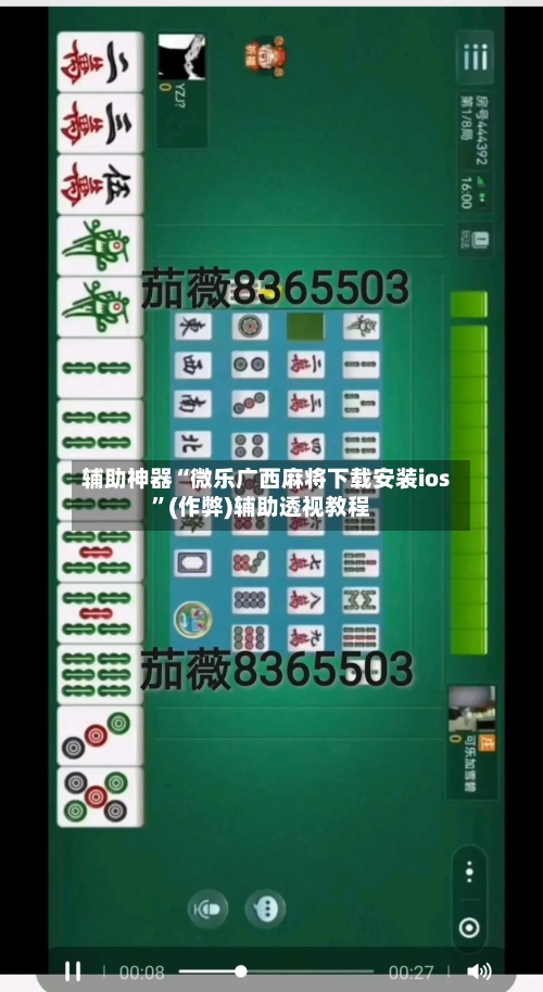 辅助神器“微乐广西麻将下载安装ios”(作弊)辅助透视教程-第2张图片