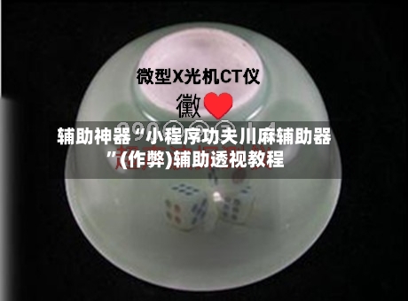 辅助神器“小程序功夫川麻辅助器”(作弊)辅助透视教程-第2张图片
