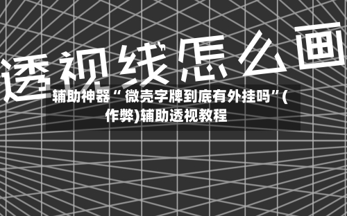 辅助神器“ 微壳字牌到底有外挂吗”(作弊)辅助透视教程-第3张图片