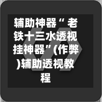 辅助神器“ 老铁十三水透视挂神器”(作弊)辅助透视教程
