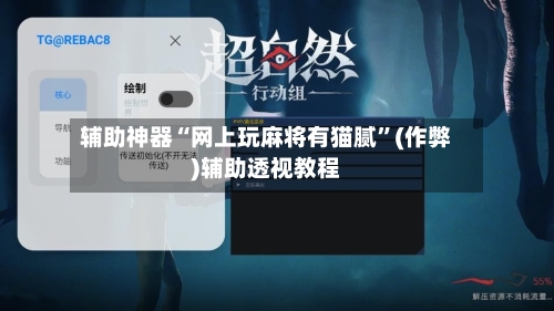辅助神器“网上玩麻将有猫腻”(作弊)辅助透视教程