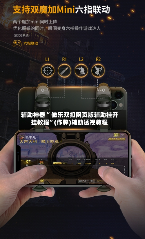 辅助神器“ 微乐双扣网页版辅助挂开挂教程	”(作弊)辅助透视教程-第3张图片