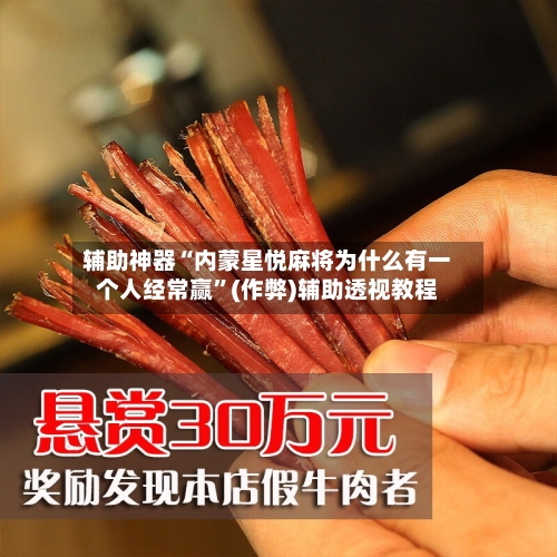 辅助神器“内蒙星悦麻将为什么有一个人经常赢”(作弊)辅助透视教程-第2张图片