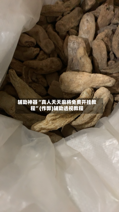 辅助神器“真人天天麻将免费开挂教程”(作弊)辅助透视教程