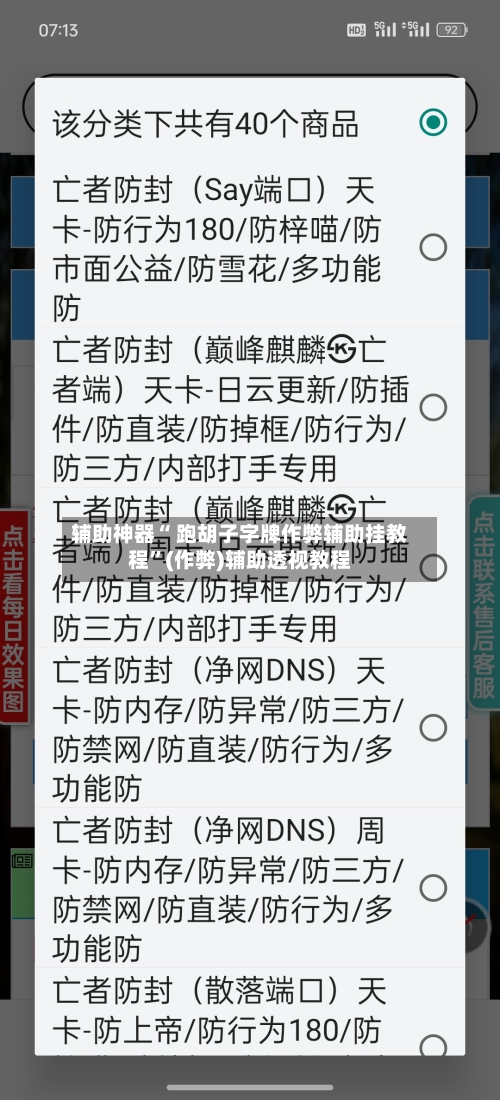 辅助神器“ 跑胡子字牌作弊辅助挂教程”(作弊)辅助透视教程-第2张图片
