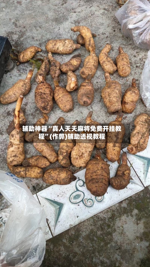 辅助神器“真人天天麻将免费开挂教程	”(作弊)辅助透视教程-第3张图片