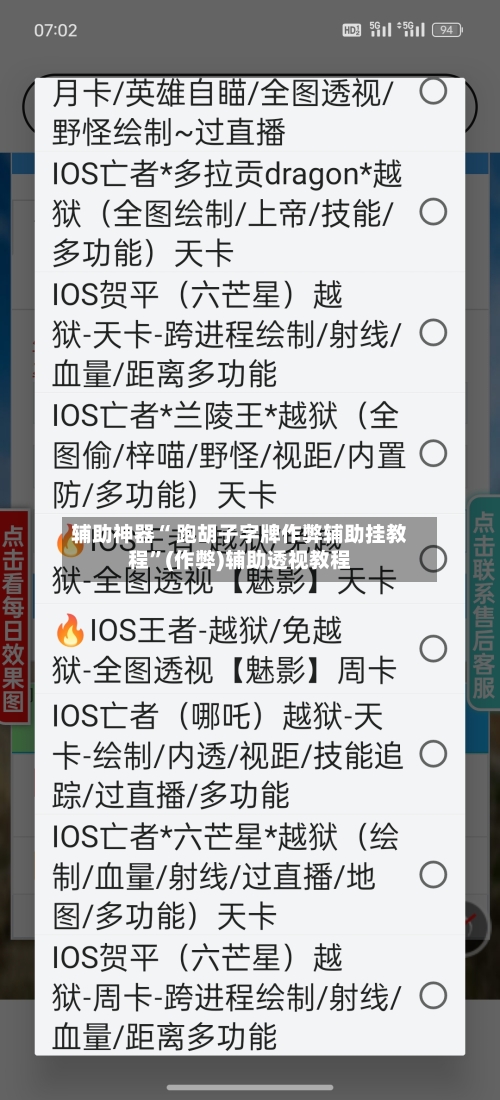 辅助神器“ 跑胡子字牌作弊辅助挂教程	”(作弊)辅助透视教程-第3张图片