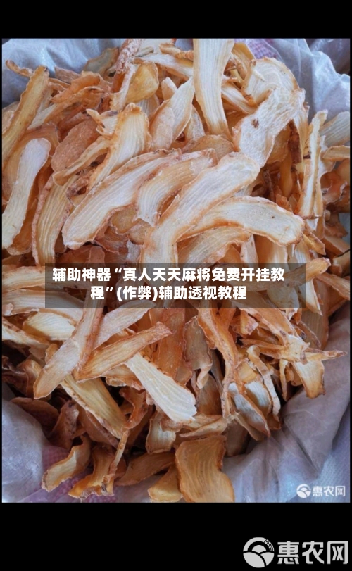 辅助神器“真人天天麻将免费开挂教程”(作弊)辅助透视教程-第2张图片