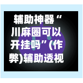 辅助神器“川麻圈可以开挂吗	”(作弊)辅助透视教程-第2张图片