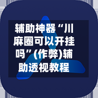 辅助神器“川麻圈可以开挂吗”(作弊)辅助透视教程-第3张图片