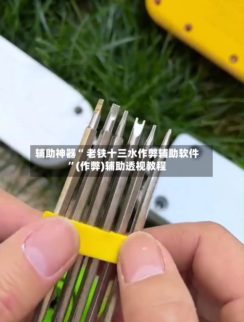 辅助神器“ 老铁十三水作弊辅助软件”(作弊)辅助透视教程