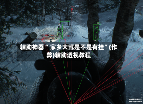辅助神器“ 家乡大贰是不是有挂”(作弊)辅助透视教程-第2张图片